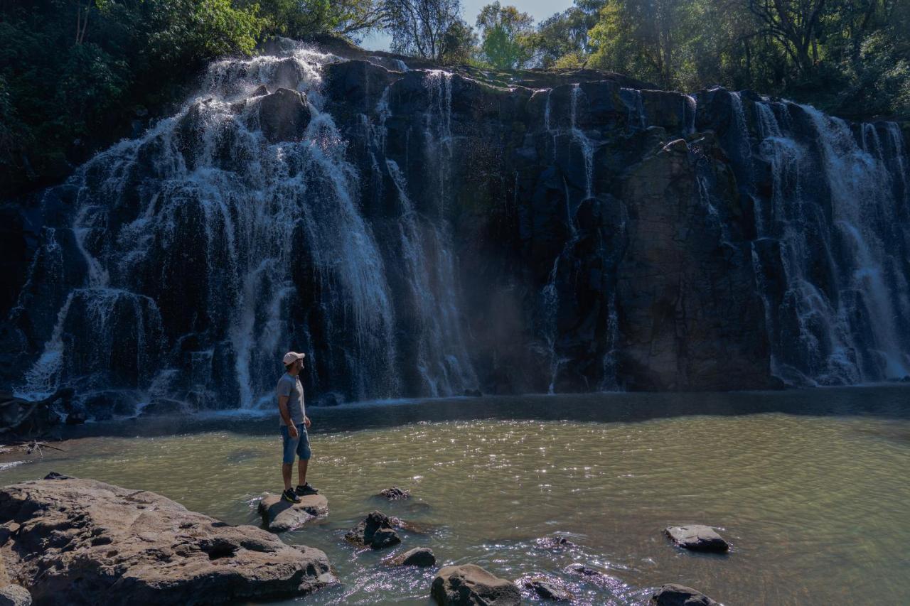 Reserva Natural Iguazu - Pristine Luxury Camp Puerto Libertad Luaran gambar